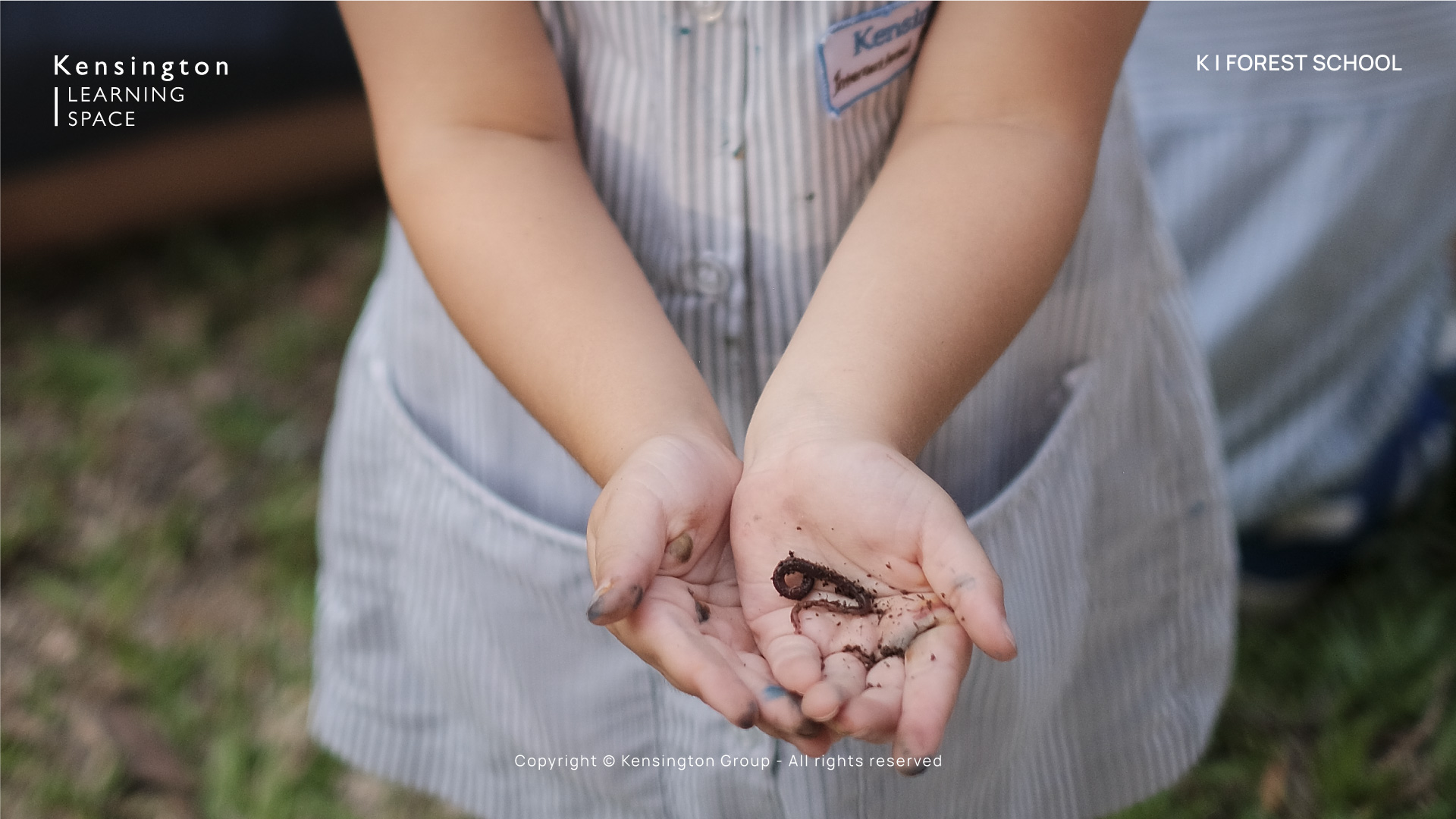 Forest School4